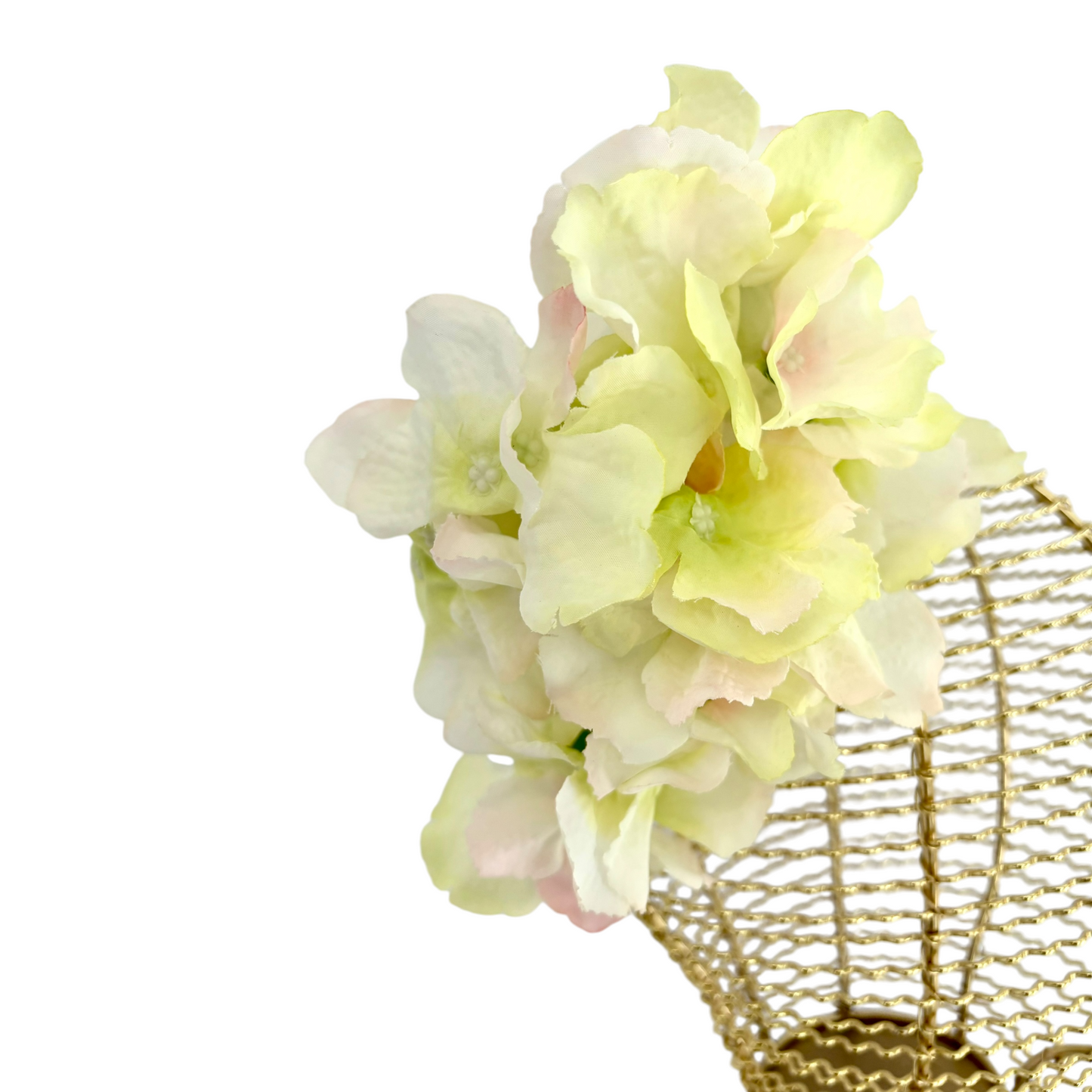 Tinks Floral Add-On