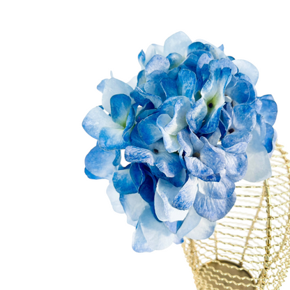 Gigi Floral Add-On